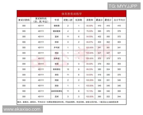 武汉羽毛球队状态分析与未来展望探讨
